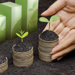 Photo of Vintage Wealth Financial Group