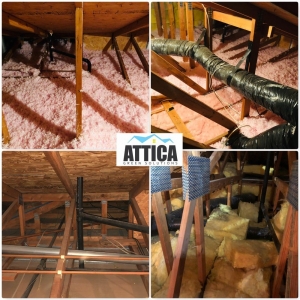 Photo of Attica Green Solutions