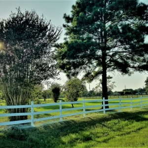 Photo of Adda Farmhouse