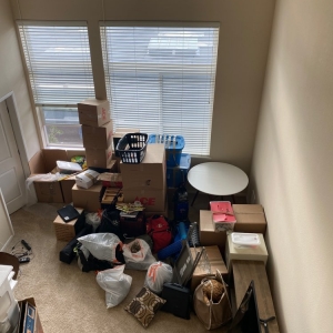 Photo of Golden Bay Movers Company