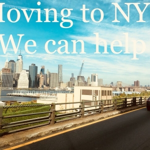 Photo of Strongmove Company