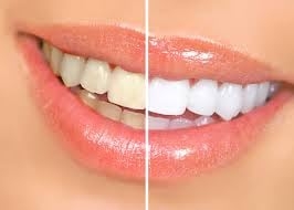 Photo of Piedmont Dental by Design Family Oriented Team