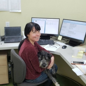 Photo of The Law Offices of Michael Martinovsky, P.C.