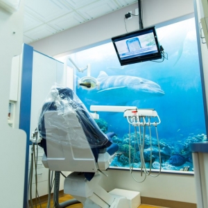 Photo of SeaCliff Dental Team