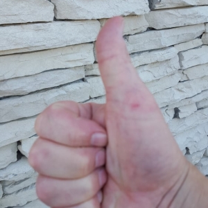 Photo of Master Movers Company