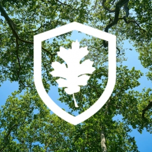 Photo of Mighty Oak Insurance Service Company