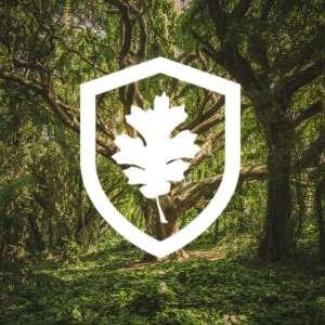 Photo of Mighty Oak Insurance Service Company