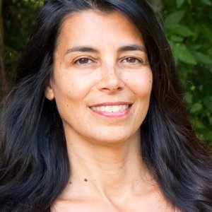 Photo of DiFilippo Holistic Law Center non profit attorney near me