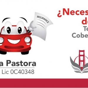 Photo of Primeras Insurance Agency With over 20 years of experience