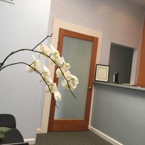 Photo of Union Fillmore Dental Clinic