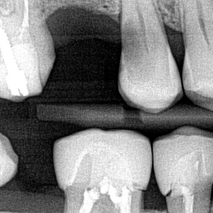 Photo of Island Dental Clinic