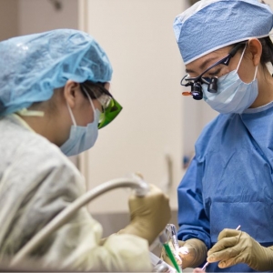 Photo of Hyun S. Bang, DDS