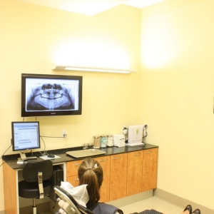 Photo of Corrine Cline-Fortunato, DDS Oral and maxillofacial surgeon
