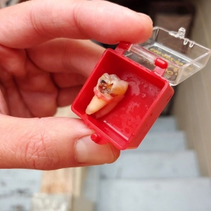 Photo of San Bruno Avenue Dental Group