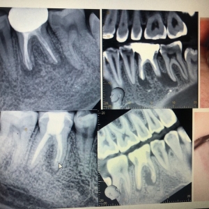 Photo of Victoria Tobar, DDS Clinic