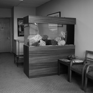 Photo of Travelle Family Dentistry Minimally Invasive Biomimetic Dentistry