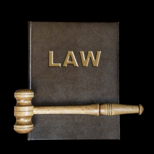 Marietta Pereira & Associates Law Firm