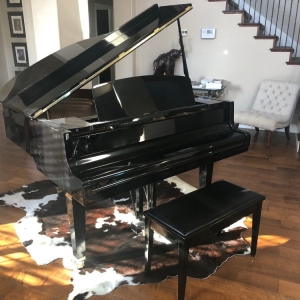 Photo of AAA Piano