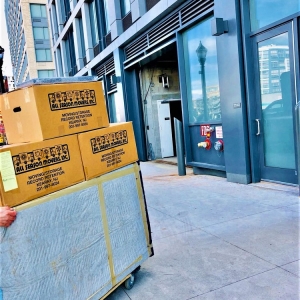 Photo of Vector Movers NJ