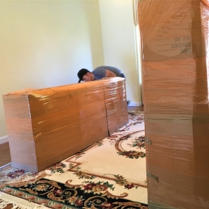 Photo of Vector Movers NJ