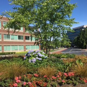 Photo of Dianna Caley Law Firm