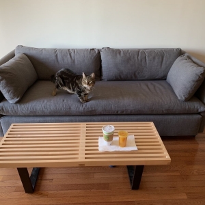 Photo of Sofa and Furniture Disassembly