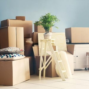 Brooklyn Lucida Movers