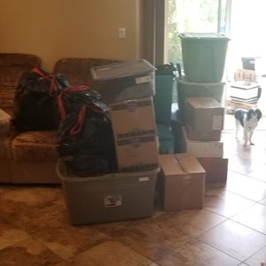 Photo of Small Movers SF