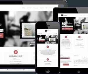 Photo of Media Saga Social SEO Firm