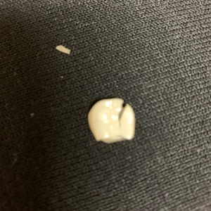 Photo of KB San Leandro Dental Studio: Azita Kabiri, DDS Gentle Dentistry Services