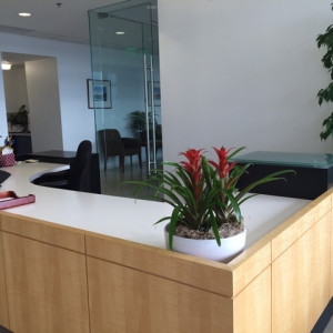 Photo of Ropers Majeski Kohn & Bentley One Of The Leading Law Firms In The United States