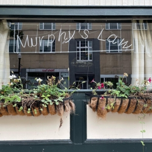 Photo of Law Offices of Michael C. Murphy a specialized boutique law firm