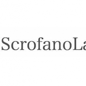 Washington Scrofano Law PC