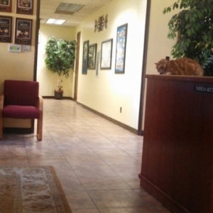 Phoenix Taylor And Associates Law Firm