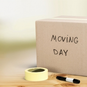 Photo of 300Movers