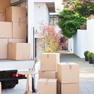 Photo of 300Movers
