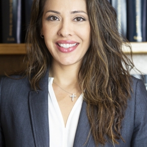 Photo of Bellah Perez, PLLC. The Highly Reputable And Well Regarded Law Firm