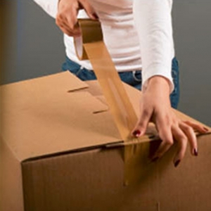 Photo of Jv Movers