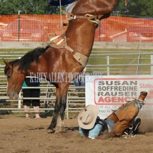 Photo of Susan Soffredine Rauser - State Farm Insurance Agent