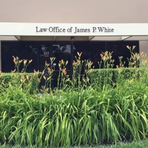 Photo of Law Office Of James P White With The California Public Defenders Association