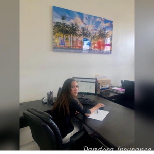 Photo of Pandora Insurance  at providing Auto, Home, Commercial, Life and Health insurance