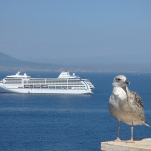 Photo of Accent on Travel Agency