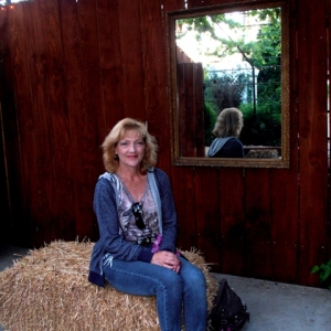 Photo of Affordable Divorces by Dana Paralegal-L.D.A. affordable licensed and bonded paralegal-legal document assistant