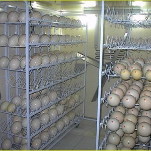 Photo of Global Trade Int