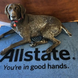Photo of Kris Luce: Allstate Insurance Company