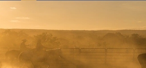 Photo of Farmers Union Insurance - Jim Mathews Agency  a Montana licensed agent
