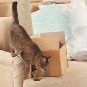 Photo of Nebraskaland Moving Company