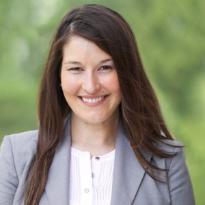 Photo of Sanford P. Krigel corporate/transactional services, commercial litigation