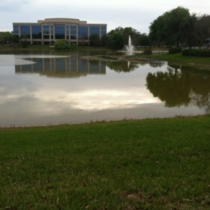 Photo of Florida Insurance Specialists your valuables, your home, and your property
