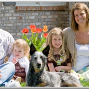 Photo of Matthews Insurance Service  with Allstate for years to help people with their insurance needs